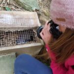 Motuara Island Sanctuary: Wildlife & Dolphin Watching Tour - Exploring the Itinerary: What Youll Experience