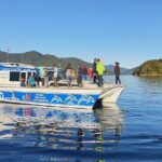 Motuara Wildlife Sanctuary Tour and Dolphin Cruise from Picton - Introduction