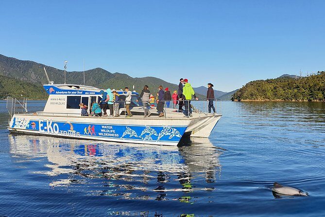 Motuara Wildlife Sanctuary Tour and Dolphin Cruise from Picton - Introduction