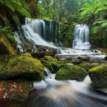 Mount Field Day Tour Private Charter Service ( 3 days in advance - Final Thoughts