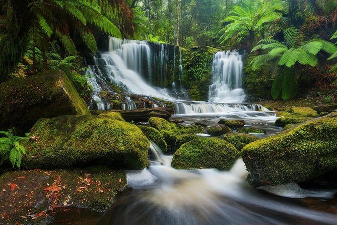 Mount Field Day Tour Private Charter Service ( 3 days in advance - Final Thoughts