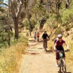 Mount Lofty Descent Bike Tour from Adelaide - Who Will Love This Tour?