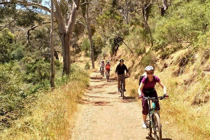 Mount Lofty Descent Bike Tour from Adelaide - Who Will Love This Tour?