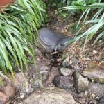 Mount Maunganui Hkoi Walking Tour - Final Thoughts: The Value of Authentic Culture and Scenic Beauty