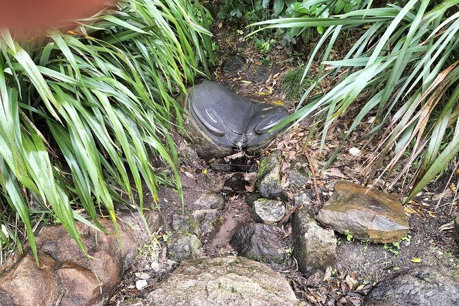 Mount Maunganui Hkoi Walking Tour - Final Thoughts: The Value of Authentic Culture and Scenic Beauty