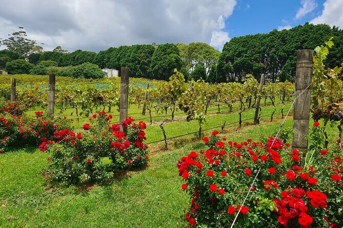 Mount Tamborine Wine Tasting Tour from Brisbane or the Gold Coast - The Practicalities: What You Need to Know
