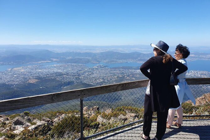 Mount Wellington Pinnacle 2 Hours Small Group Tour - The Experience: What Travelers Say