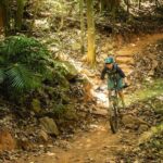 Mountain Bike Tour - Cairns - The Trails and the Experience