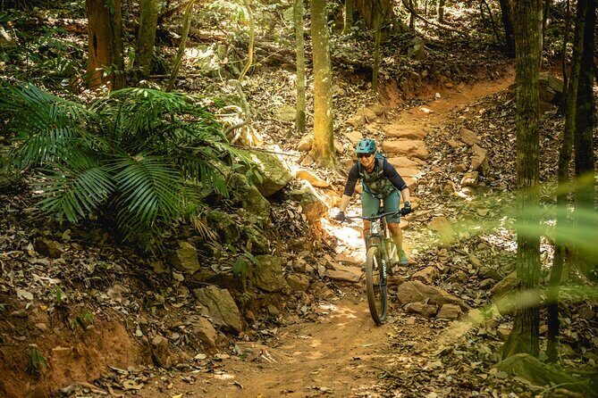 Mountain Bike Tour - Cairns - The Trails and the Experience