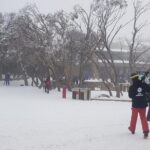 Mt Buller Day Trip from Melbourne - The Practicalities: What You Need to Know