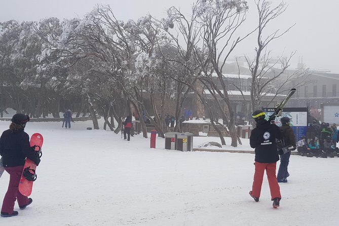 Mt Buller Day Trip from Melbourne - The Practicalities: What You Need to Know