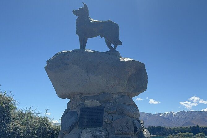 Mt. Cook Private Day Trip From Queenstown with Lake Tekapo - Who Should Consider This Tour?