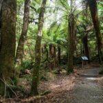 Mt Field and Styx Valley Photography Tour - The Sum Up