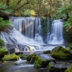 Mt Field National Park and Russell Falls from Hobart - Who Should Consider This Tour?