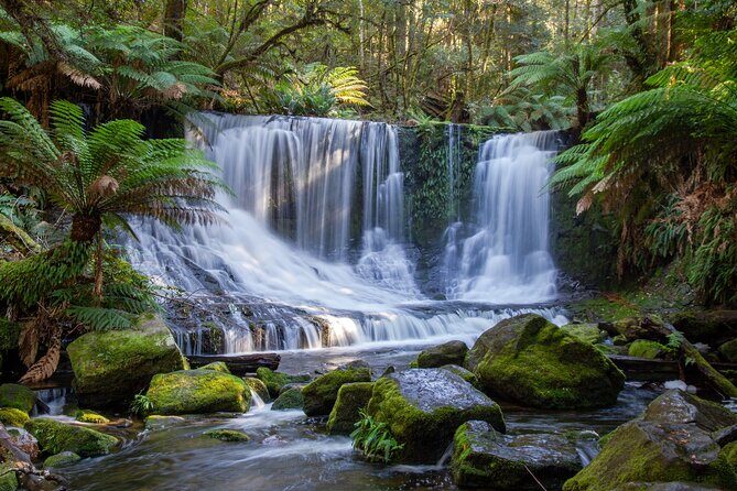 Mt Field National Park and Russell Falls from Hobart - Who Should Consider This Tour?