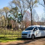 Mt Tamborine Shuttle Service - Gold Coast Return Transfer - Authentic Experiences & Traveler Feedback