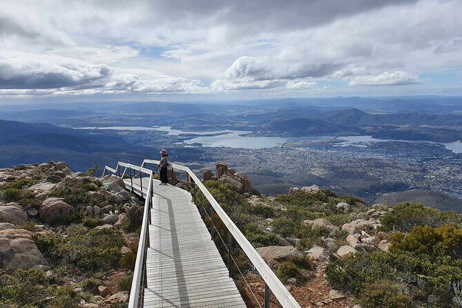 Mt Wellington Afternoon Small Group Driving Tour - Deep Dive into the Itinerary