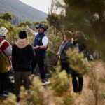 Mt Wellington Ultimate Afternoon Tour - The Value of This Tour