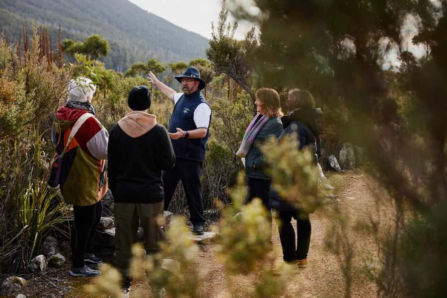 Mt Wellington Ultimate Afternoon Tour - The Value of This Tour
