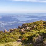 Mt Wellington: Ultimate Experience from Hobart - The Experience: What to Expect
