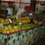 Mud Pools,Temple Sleeping Giants Gardens shopping markets &Lunch Ex Fiji Marriot - Authenticity and Traveler Perspectives