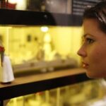 Museum of NZ Te Papa Tongarewa: Gallipoli Exhibition Guided Tour - The Gallipoli: The Scale of Our War Exhibition