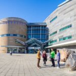 Museum of NZ Te Papa Tongarewa: International Visitor Entry - Who Will Love This Museum?