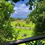 Must-Do : Nature, Culture & Moments Uniques  MirimirI Tours - Who Would Love This Tour?