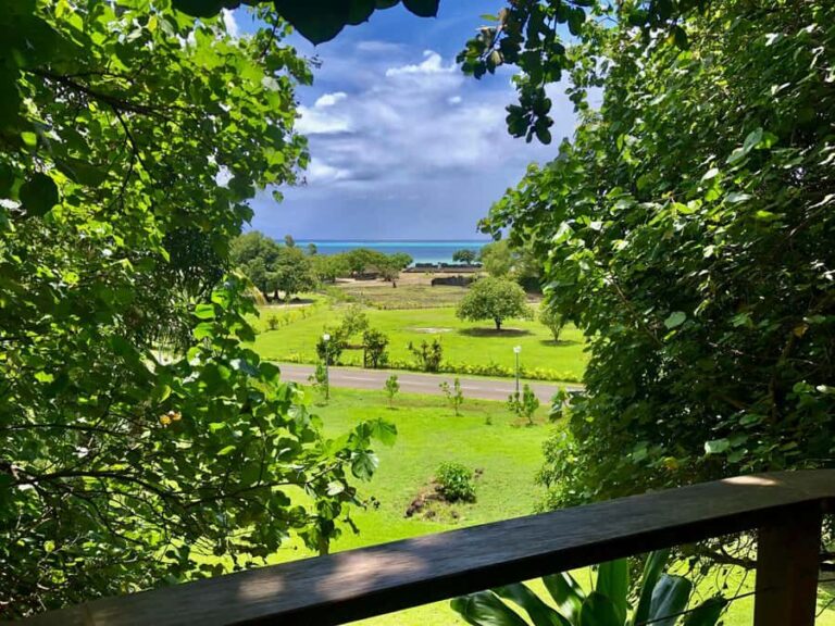 Must-Do : Nature, Culture & Moments Uniques  MirimirI Tours - Who Would Love This Tour?