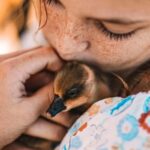 Mutchilba: Farm Animal Feeding - A Closer Look at What to Expect