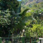 Nadi Fiji Historical Half Day Tour - Practical Details and What You Get