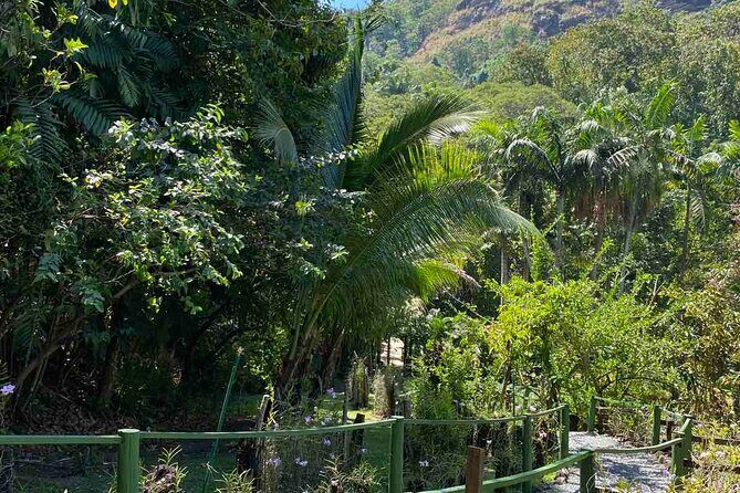 Nadi Fiji Historical Half Day Tour - Practical Details and What You Get