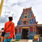 Nadi: Garden Village Hot Spring & Temple Highlights Tour - What Makes This Tour a Good Deal?