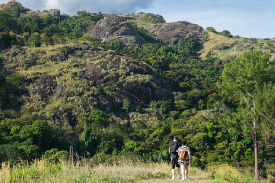 NADI-SABETO: Exquisite Orchid Garden with Hotspring Mudpool - The Itinerary Breakdown