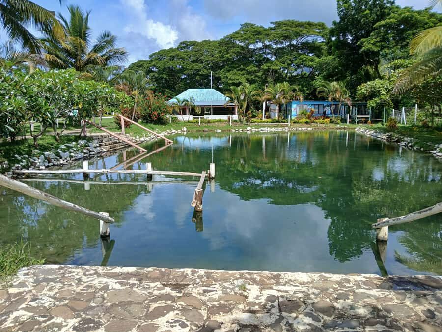 NADI-SABETO: Tifajek Hot Spring and Mudpool Natural Spa - Final Thoughts: Is It Worth It?