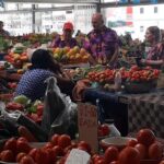 Nadi Sightseeing Including Viseisei Lookout, Village Tour, Garden & Temple Tour - Authentic Feedback from Travelers