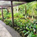 Nadi Sightseeing & Mud Pool Tour - Ex Fiji Marriott, Momi Bay - Authenticity and Cultural Insights