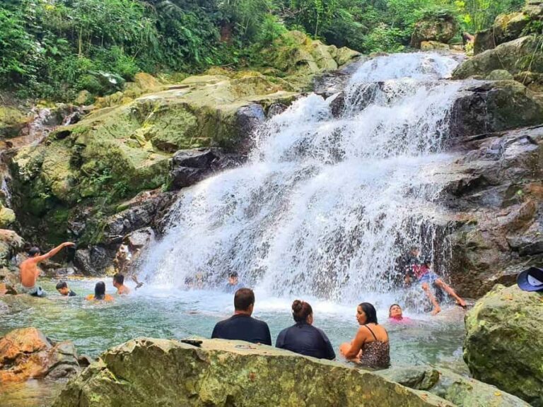 Nadi: Zipline, Waterfalls, and Jungle Safari Tour with Lunch - A Closer Look at the Tour Itinerary