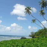 Namua Turtle Island and Eastern Upolu Tour - The Experience and What You’ll Get