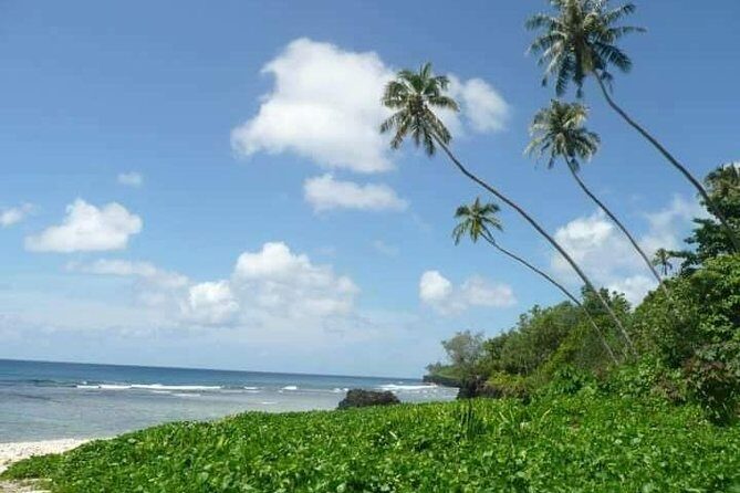 Namua Turtle Island and Eastern Upolu Tour - The Experience and What You’ll Get