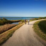 Napier: Cape Coast Winery Tour on E-Bikes - Practical Details and Considerations