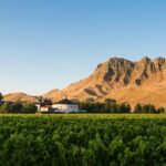 Napier Craggy Range Wine tour with Te Mata Peak summit views - Authentic Feedback: What Travelers Say