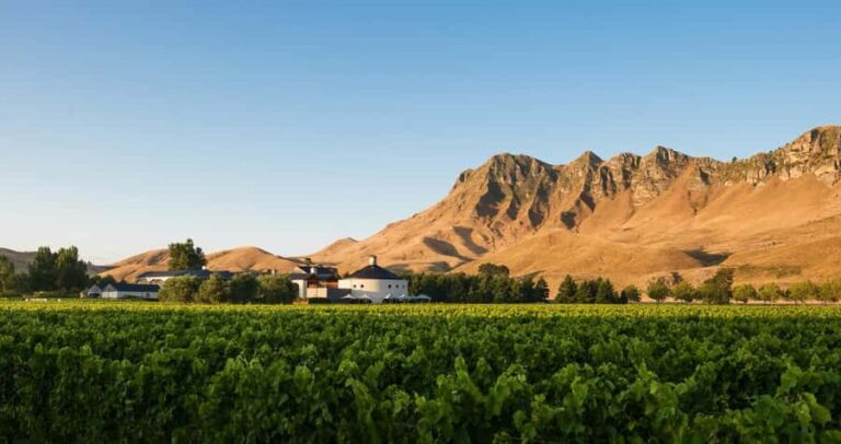 Napier Craggy Range Wine tour with Te Mata Peak summit views - Authentic Feedback: What Travelers Say