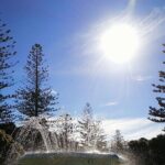 Napier Cruise Excursion Art Deco Tour and Wine Tasting - The Itinerary in Detail