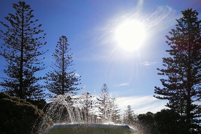 Napier Cruise Excursion Art Deco Tour and Wine Tasting - The Itinerary in Detail