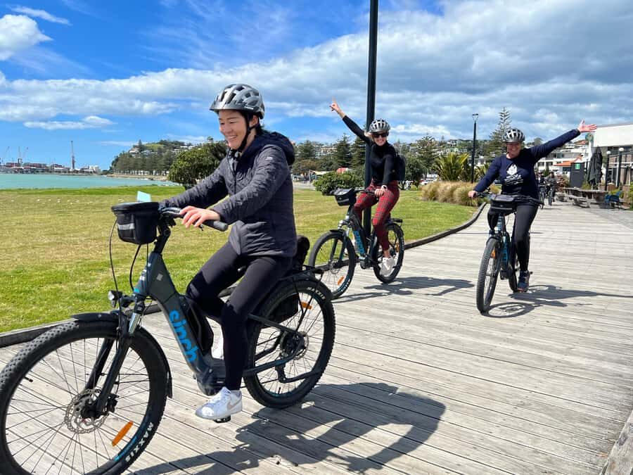 Napier: Cruise Self-Guided Cycle Ride to Winery - Half Day - What to Expect During Your Ride