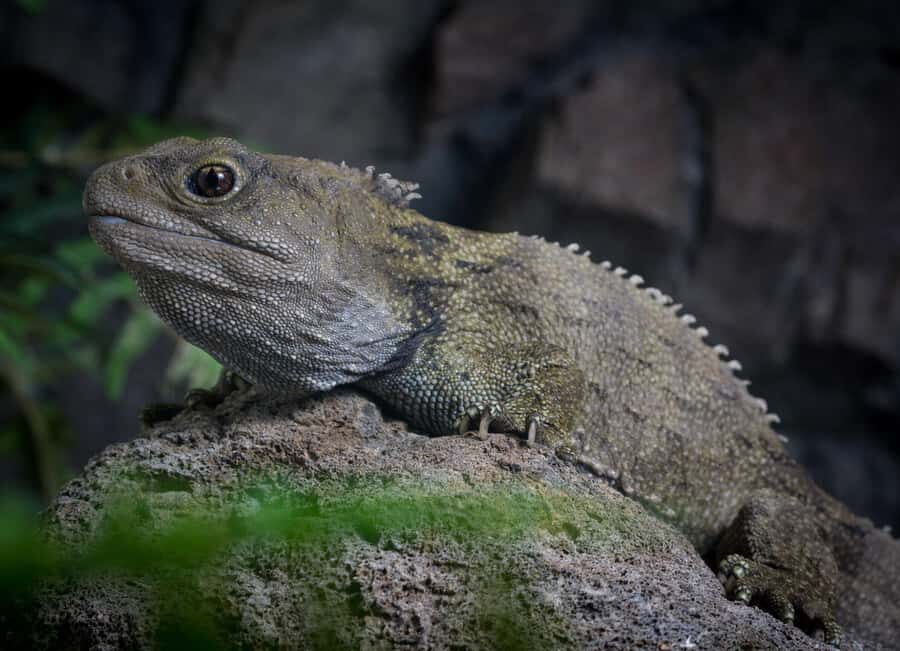 Napier: National Aquarium of New Zealand General Admission - What Makes the Exhibits Special
