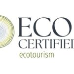 Natural Bridge Glow Worm Night Tour from Gold Coast - Practical Tips for Visitors