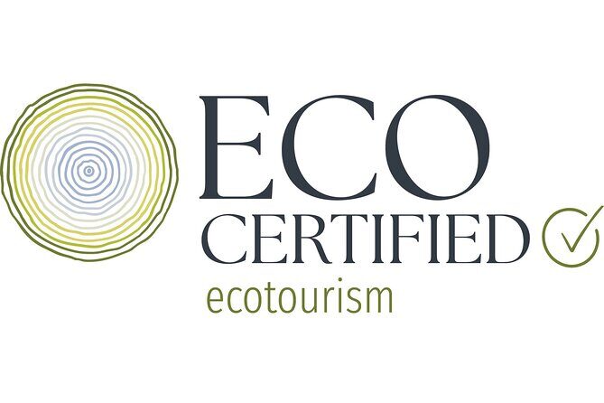 Natural Bridge Glow Worm Night Tour from Gold Coast - Practical Tips for Visitors