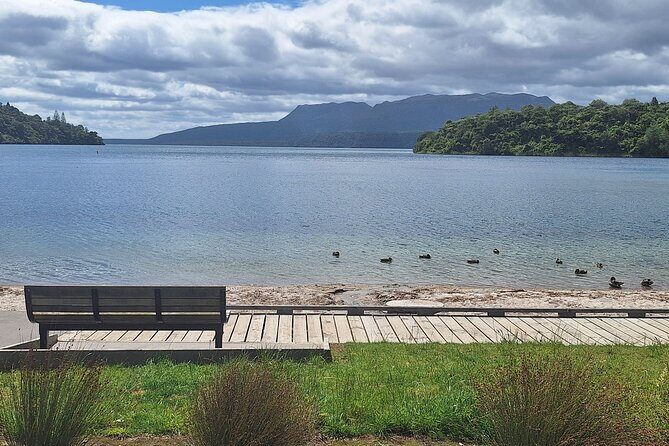 Nature at its best Lake Tarawera Treetop Walk and Forest Spas - What’s Included and What’s Not
